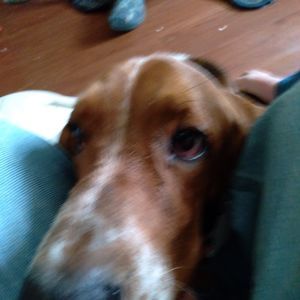 Meet your Posher, Ethan